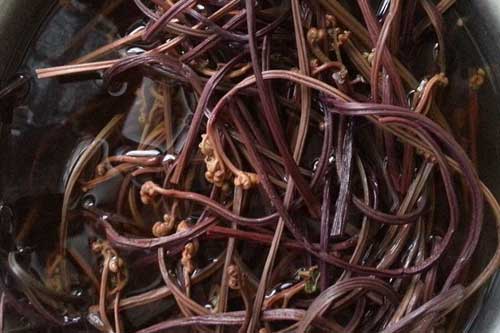 蕨菜干生產加工過程中需要注意什么？