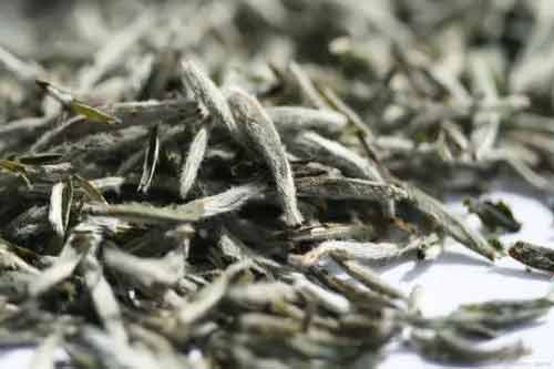 貢眉白茶是什么茶？貢眉白茶有哪些功效和作用？
