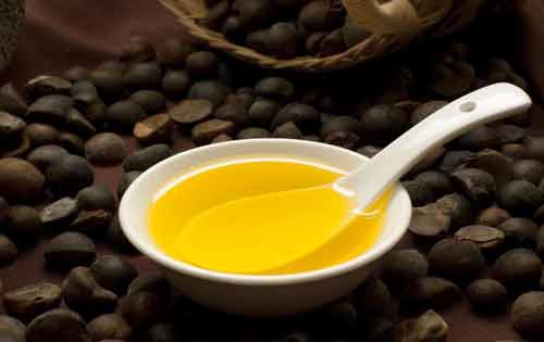 利用茶籽提取茶籽油、茶皂素以及木糖醇等產品