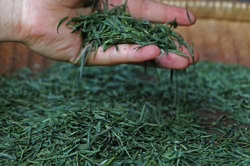 綠茶貯藏保鮮方法|防止茶葉吸潮變質