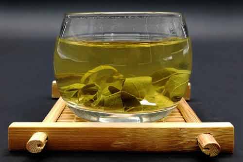 柿葉茶藥用功效以及柿葉茶制作方法