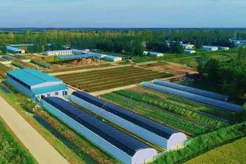 什么是集約生態養殖？包括哪些方面？