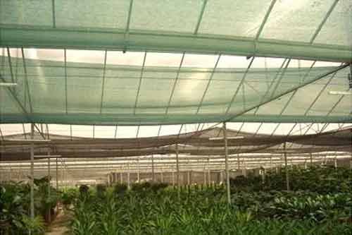 種植和栽培蔬菜使用遮陽網(wǎng)方法及注意事項(xiàng)