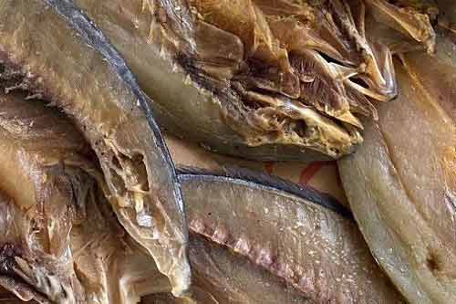 鲅魚的產地是哪里？鲅魚有多少品種？