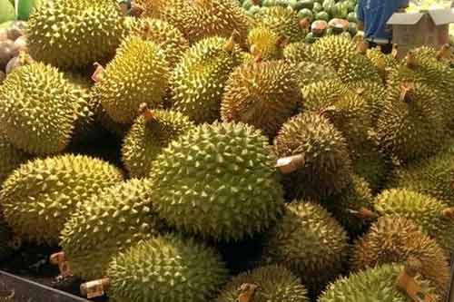 榴蓮是什么季節(jié)的水果？為什么有水果之王的稱號？