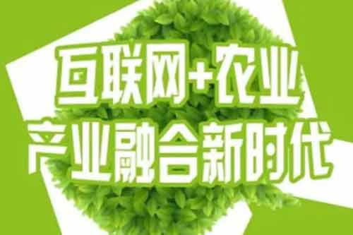 農產品營銷渠道有哪些類型？包含哪些優點和缺點？