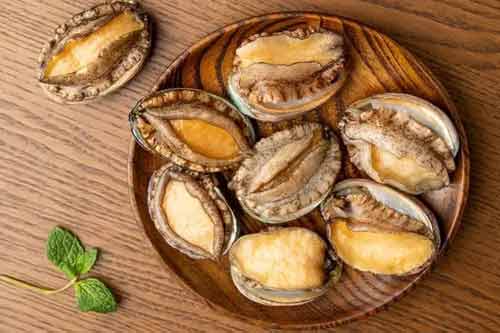 鮑魚(yú)的藥用價(jià)值和營(yíng)養(yǎng)價(jià)值有哪些